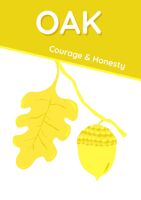 Oak